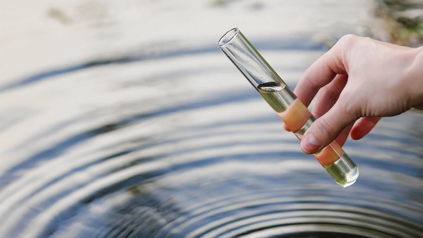 Understanding Lead Test Reports and Laboratory Results